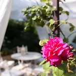 Πανσιόν Casina Le Conserve 4*