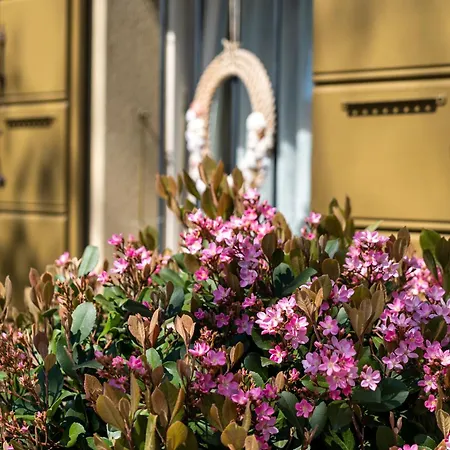 Affittacamere Casina Le Conserve 2*