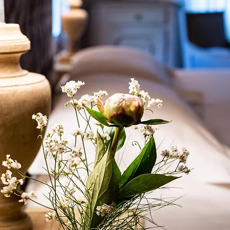 Casina Le Conserve بيت ضيافة تْشيزيناتيكو