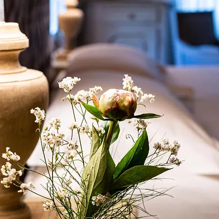 Affittacamere Casina Le Conserve 4*