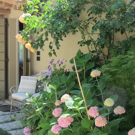 Casina Le Conserve 체제나티코