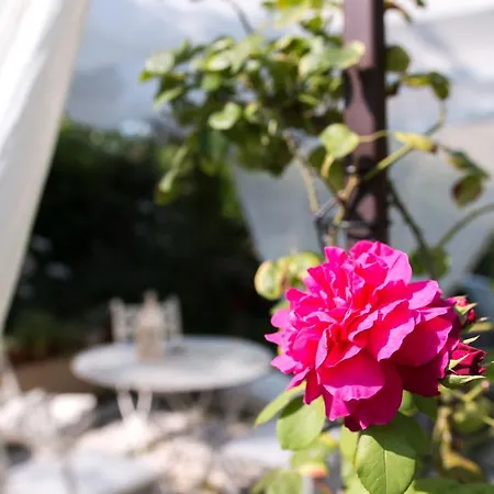 Pensionat Casina Le Conserve 4*