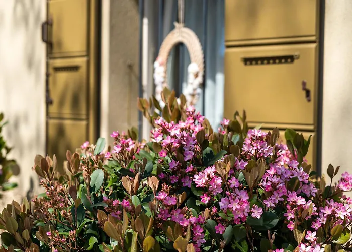 بيت ضيافة Casina Le Conserve 4*