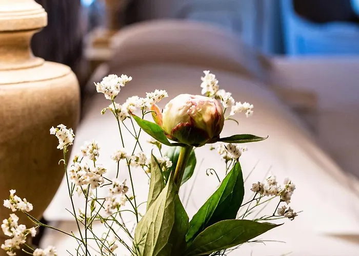 بيت ضيافة Casina Le Conserve 4*