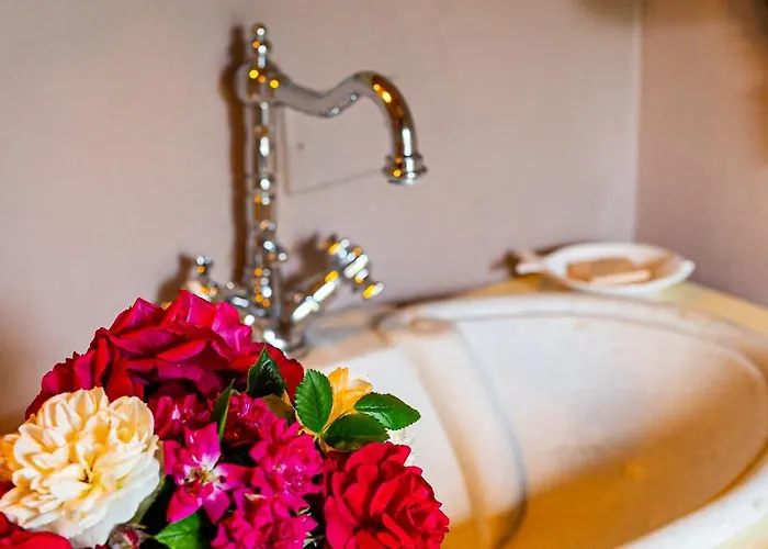 Casina Le Conserve 4* Cesenatico