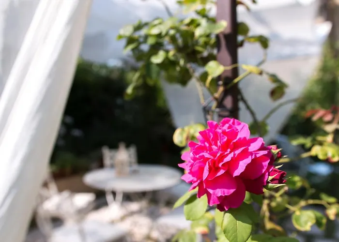 بيت ضيافة Casina Le Conserve 4*